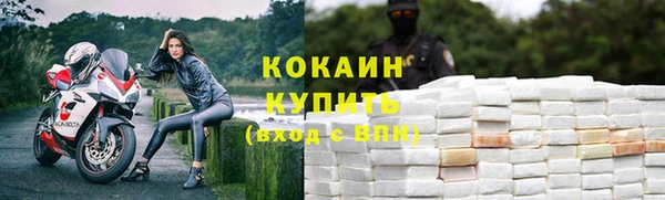 прущий лед Алзамай
