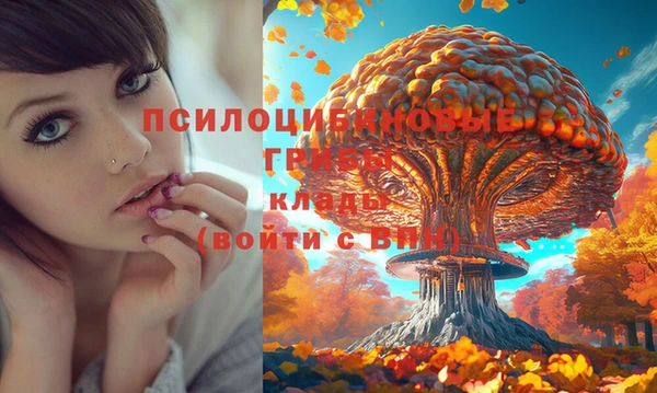 прущий лед Алзамай